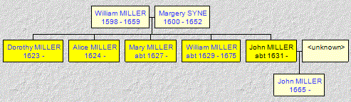 Mini tree diagram