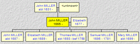 Mini tree diagram