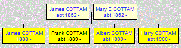 Mini tree diagram