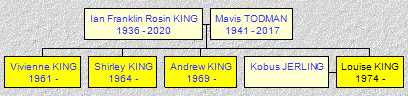 Mini tree diagram