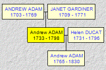 Mini tree diagram