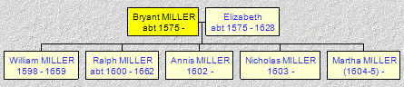 Mini tree diagram