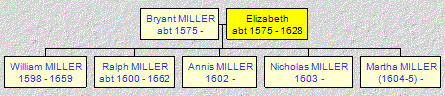 Mini tree diagram