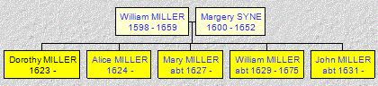 Mini tree diagram