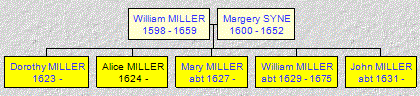 Mini tree diagram
