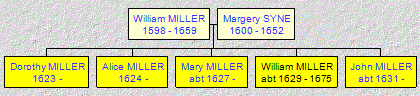 Mini tree diagram