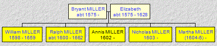 Mini tree diagram