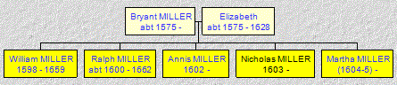 Mini tree diagram