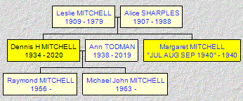 Mini tree diagram
