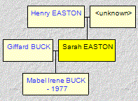 Mini tree diagram