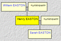 Mini tree diagram