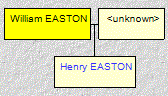 Mini tree diagram