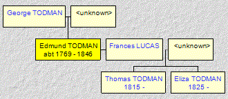 Mini tree diagram