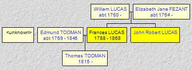 Mini tree diagram