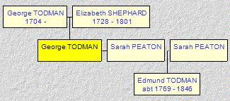 Mini tree diagram